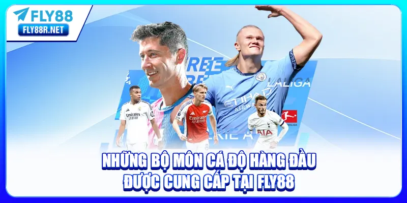Những bộ môn cá độ hàng đầu được cung cấp tại FLY88