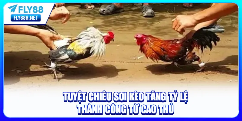 Tuyệt chiêu soi kèo tăng tỷ lệ thành công từ cao thủ